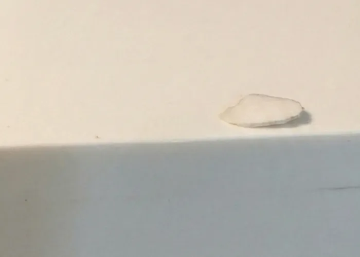 Akrilik Tamiri Sonrası